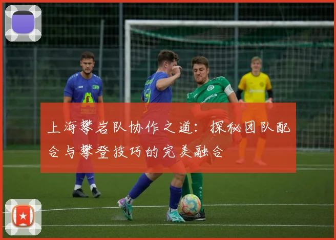 上海攀岩队协作之道：探秘团队配合与攀登技巧的完美融合
