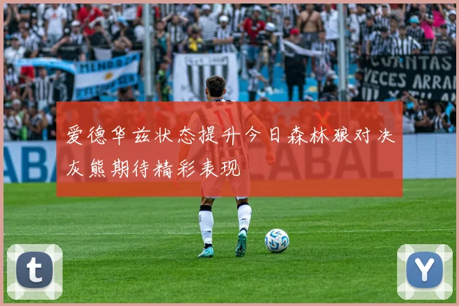 爱德华兹状态提升今日森林狼对决灰熊期待精彩表现
