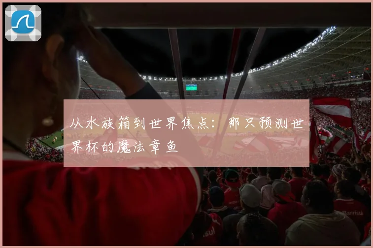 从水族箱到世界焦点：那只预测世界杯的魔法章鱼