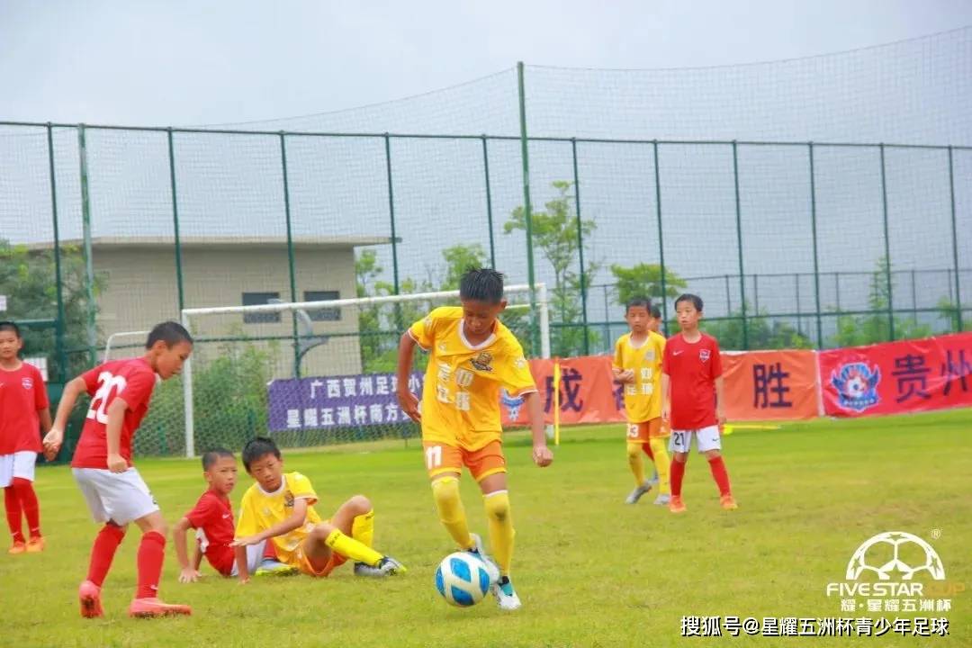 🌸【管家婆一肖一码100中】🌸:“二次元”成城市新热潮 成都动漫产业乘风破浪  第4张