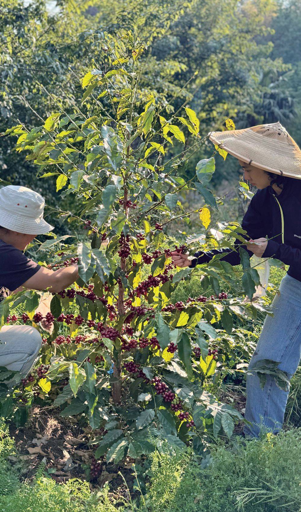 🌸【新澳门精准资料大全管家婆料】🌸:青岛夏日不仅有啤酒，多场文化展览共绘城市魅力  第1张