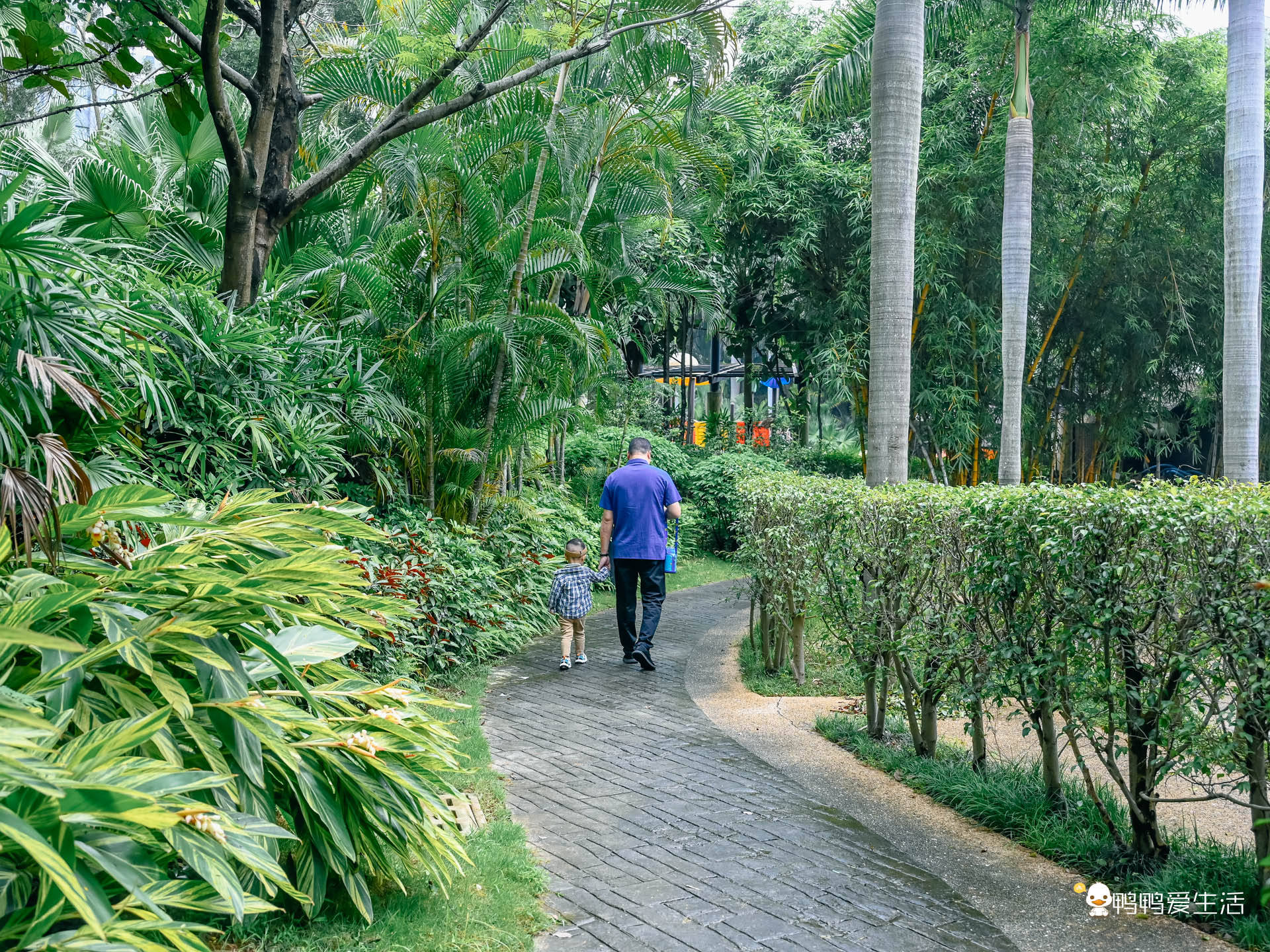 🌸【澳门管家婆一肖一码100精准】🌸:辽宁沿海六城市专利转化专项推广系列活动启动