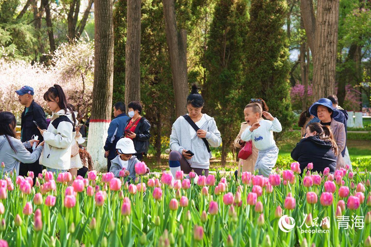 🌸芝士超人【2024年澳门正版资料大全公开】-搭建交流平台 探索城市数字化转型