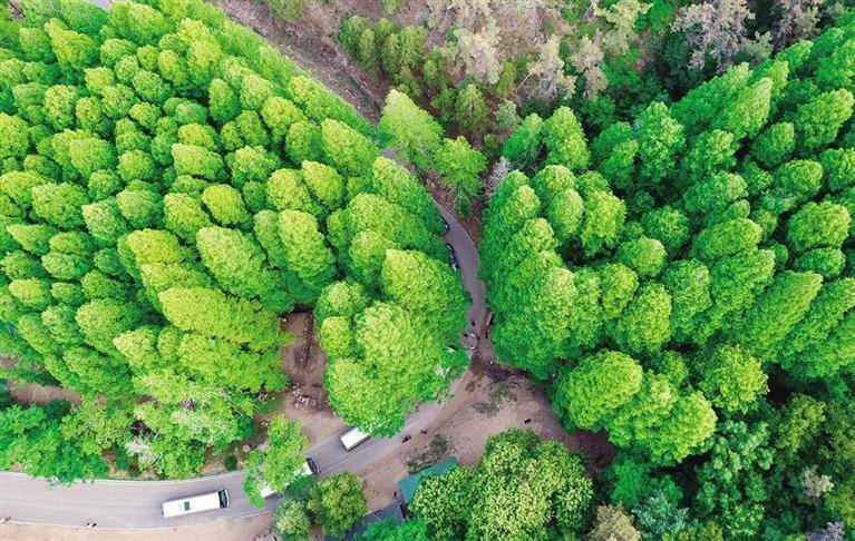 🌸【2O24管家婆一码一肖资料】🌸:文旅专家聚厦 为打造休闲旅游城市建言献策  第1张