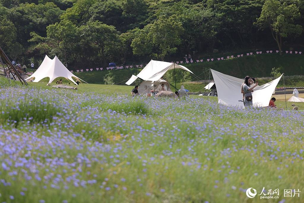 🌸【澳门管家婆一肖一码100精准】🌸:2024年文化和自然遗产日主场城市活动在辽宁沈阳举行