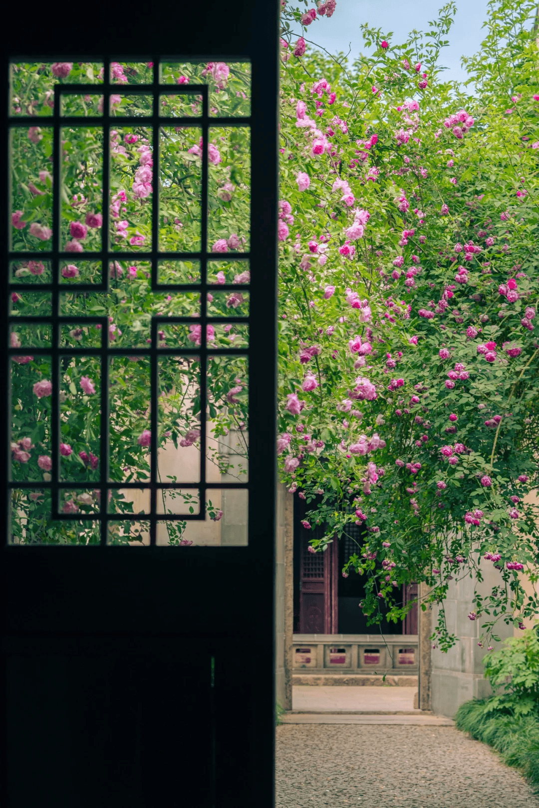 🌸【澳门一码中精准一码免费中特 】🌸:商户遭城管围殴：城市管理如何平衡“秩序”与“温度”？  第2张