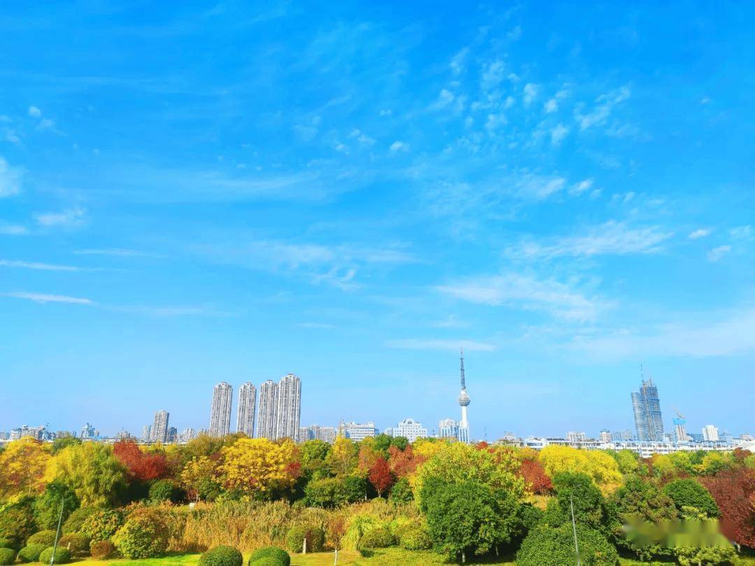 🌸【澳门一码中精准一码免费中特 】🌸:场外音丨运动让城市更美好