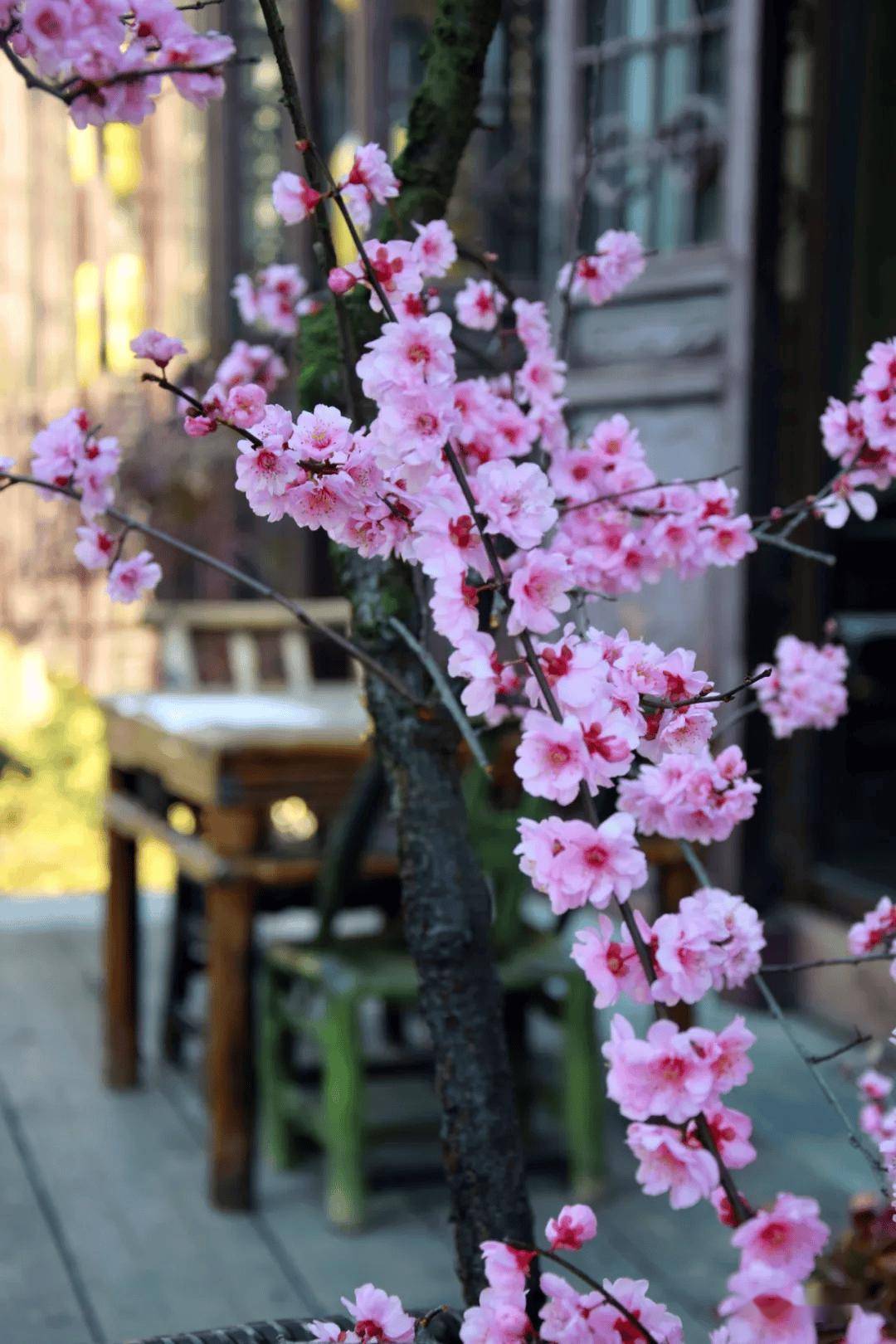 🌸【澳门天天开彩好正版挂牌】🌸:中国-中亚城市建设与建筑研讨会将在新疆乌鲁木齐市举办