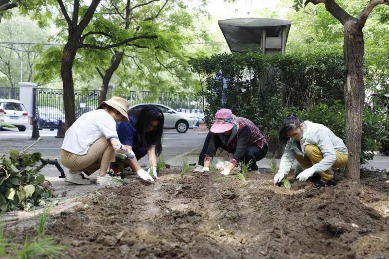 🌸【澳门天天彩免费资料大全免费查询】🌸:“住建局”更名为“住房和城市更新局”！2024大批工程项目来了！