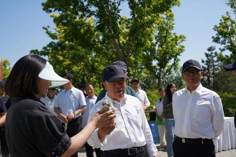 🌸【澳门天天开彩好正版挂牌】🌸:北京市城市规划设计研究院中标城市副中心综合交通枢纽交通运输保障研究项目，金额 45 万元  第4张