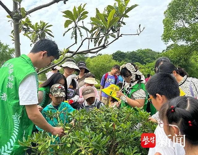 🌸【管家婆一码一肖100中奖】🌸:为城市树木“理发”，泰安交警城东大队扎实开展提视亮口专项行动  第1张