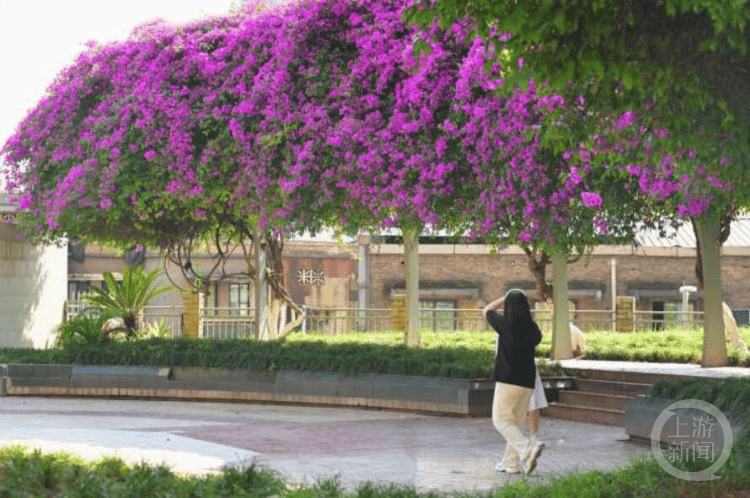 🌸【2024新澳彩料免费资料】🌸:香港城市大学HK Tech 300东南亚创新创业千万大赛 十初创企业夺殊荣