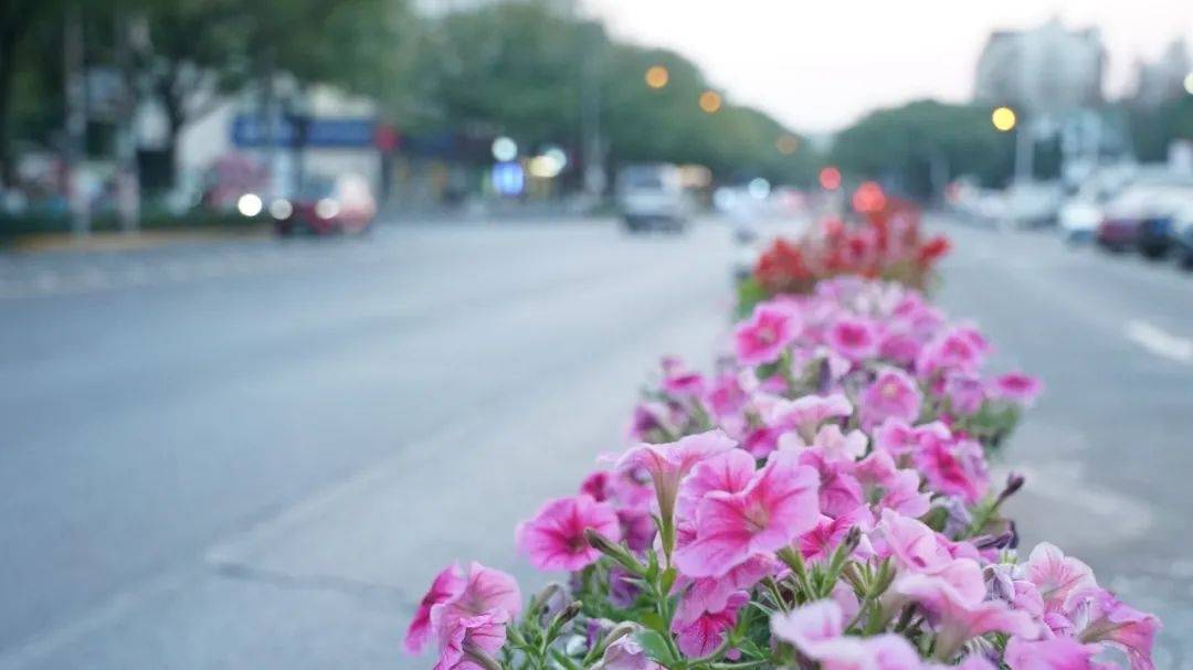 🌸【澳门一肖一码必中一肖一码】🌸:龚正市长在浦东新区下访，察看港城新时代城市建设者管理者之家和北蔡镇一六村  第2张