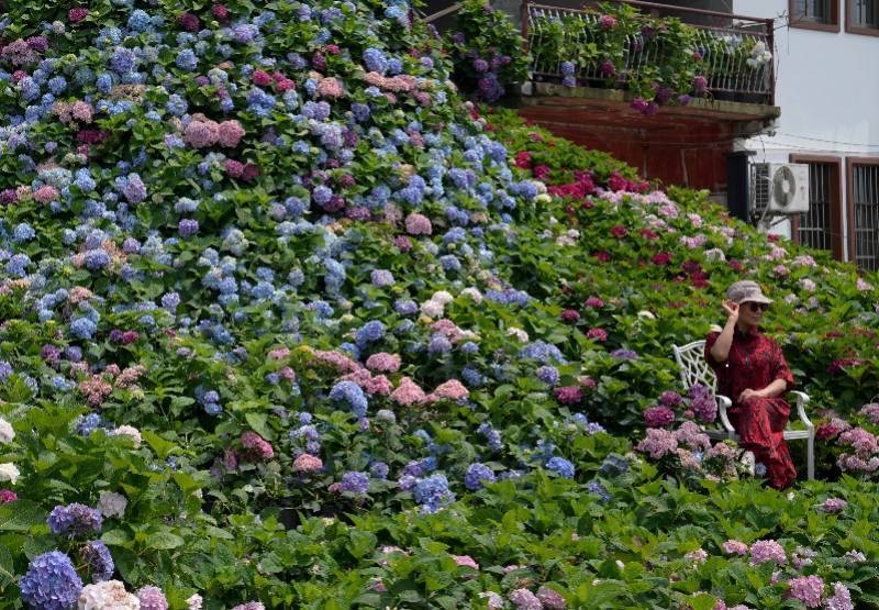 🌸【管家婆一码一肖100中奖】🌸:美国亚特兰大市因城市主要水管破裂进入紧急状态  第4张