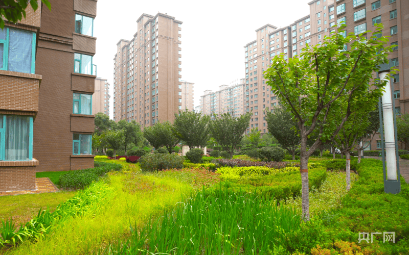 🌸【新澳门精准资料大全管家婆料】🌸:别跑空！北京城市图书馆这个馆将临时闭关！