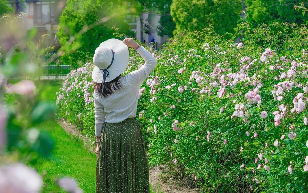 🌸百度【澳门管家婆一肖一码100精准】-华发集团 激活发展新引擎 点亮城市文旅之光  第1张