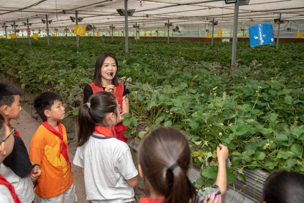 🌸【澳门管家婆一肖一码100精准】🌸:《中国公园城市指数2023》正式发布  第5张