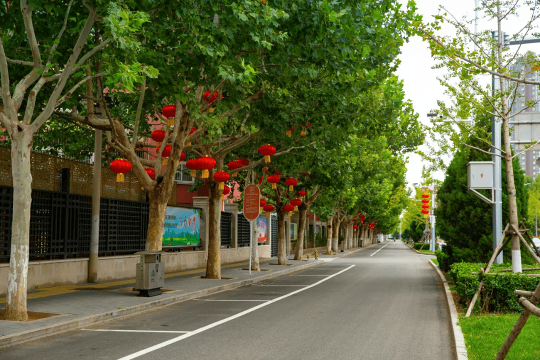 🌸【澳门今晚必中一肖一码准确9995】🌸:从营宅到营城，中建智地助力北京花园城市建设  第2张