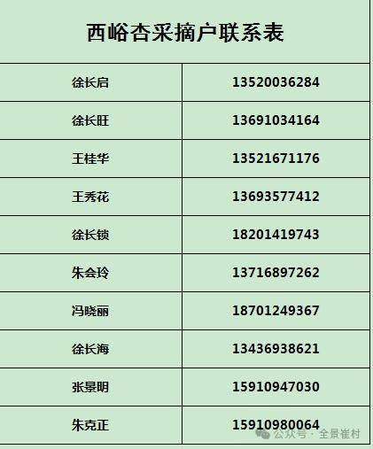 🌸【澳门管家婆一肖一码100精准】🌸:“音乐午茶”力推新人，14岁大提琴少女弓弦飞舞中致敬祖国