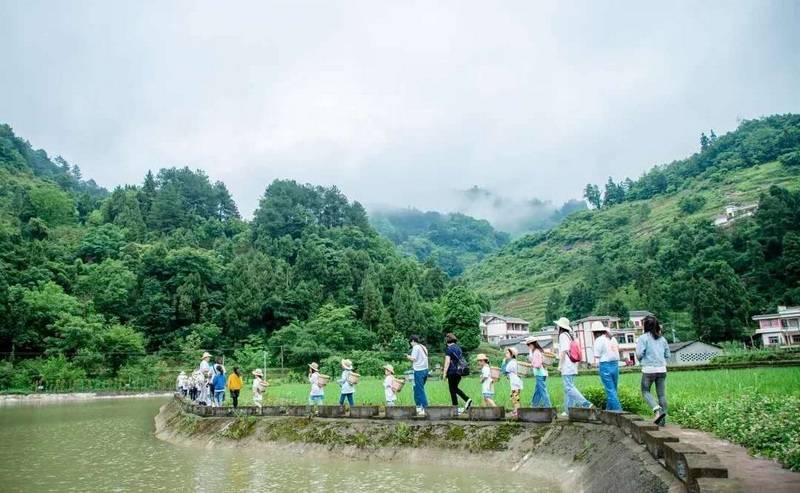 🌸【澳门一肖一码一必中一肖精华区】🌸:生态环境部通报168个重点城市空气质量排名，长春市5月份列前第18位  第2张