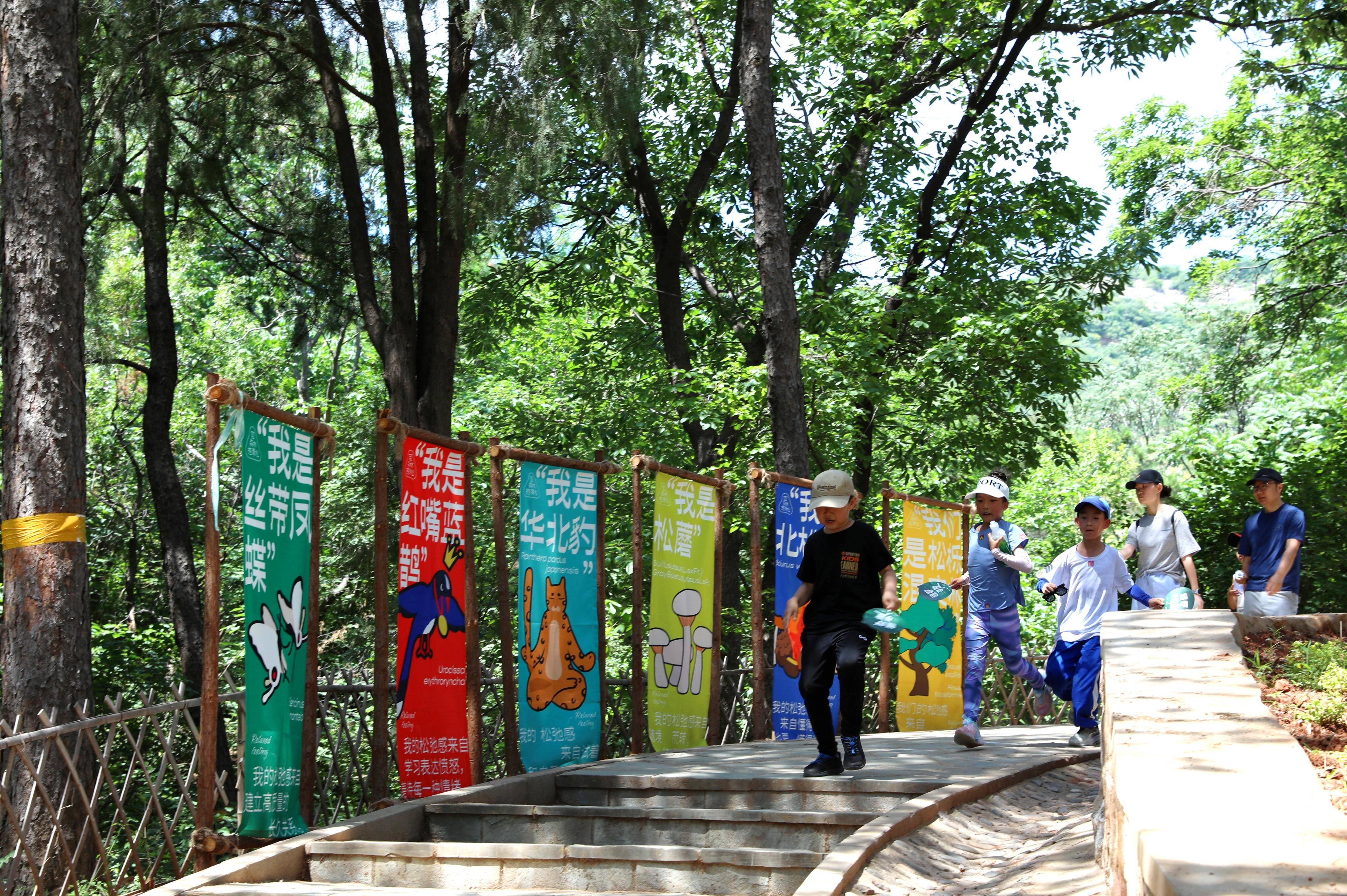 🌸【澳门今一必中一肖一码一肖】🌸:成都乡村音乐季，如何为城市文旅“加戏”？