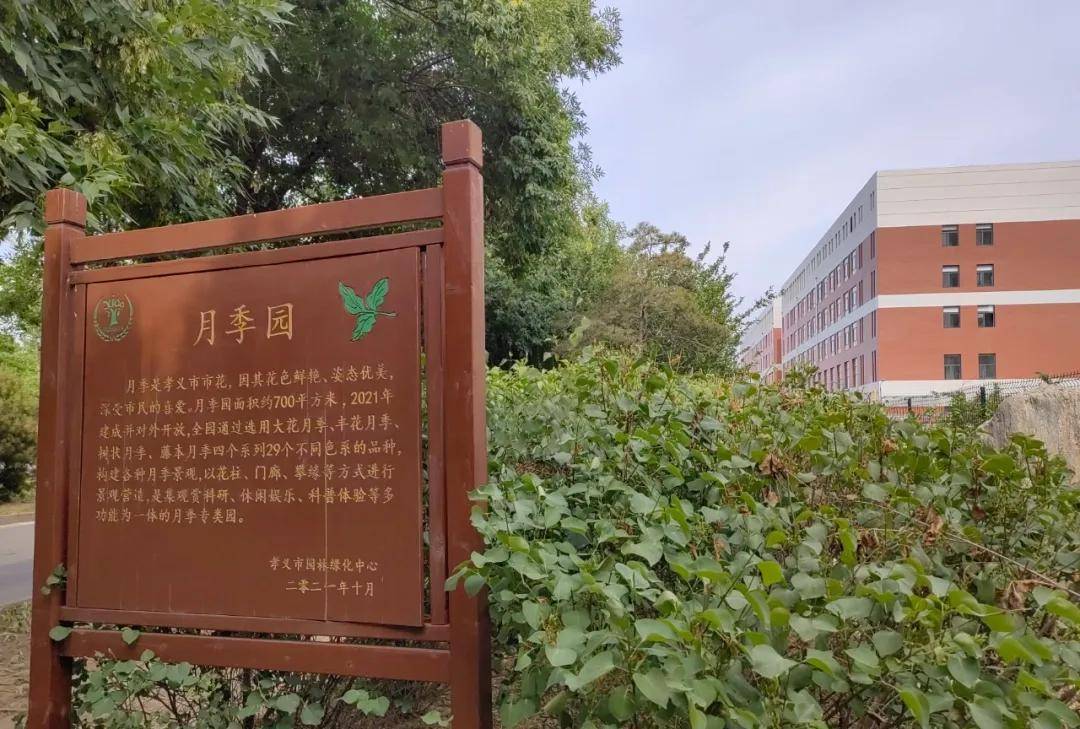 ✅澳门今一必中一肖一码一肖✅:聚焦深圳西部城市中心高质量发展，南方+松岗频道上线