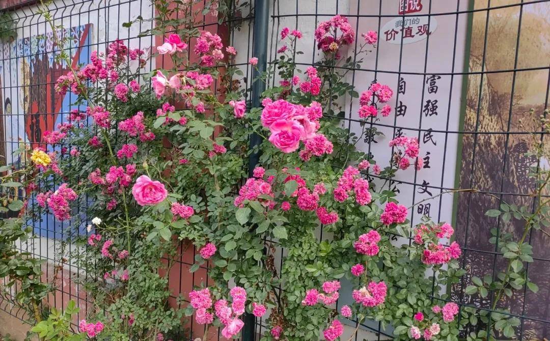 🌸【管家婆一肖一码100%准确】🌸:佛山建行为青年在城市成长赋能