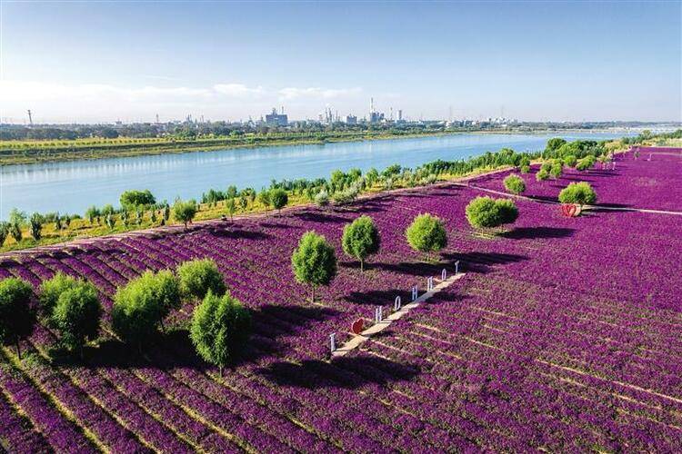 🌸【澳门天天开彩好正版挂牌】🌸:探索文体旅融合新模式 打造山地城市体育公园共富示范新样板