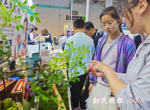 🌸【澳门天天彩免费资料大全免费查询】🌸:贵州与云南交界有座城市，夏季平均气温19.7℃，被称为中国凉都