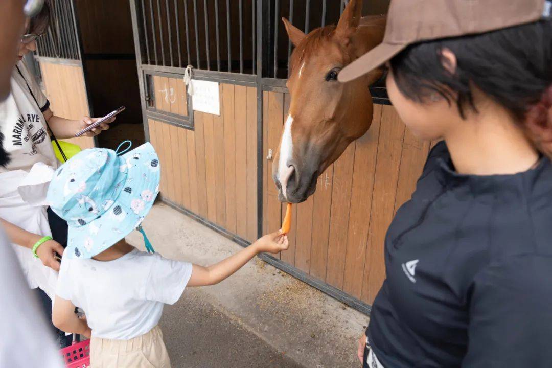 🌸【管家婆一码一肖100中奖】🌸:国家发改委等部门鼓励限购城市放宽车辆购买限制  第3张