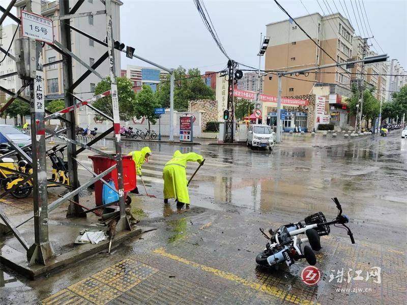 🌸【2024澳门正版资料免费大全】🌸:全国生态日 | 昆明翠湖：城市中的“生态样板间”