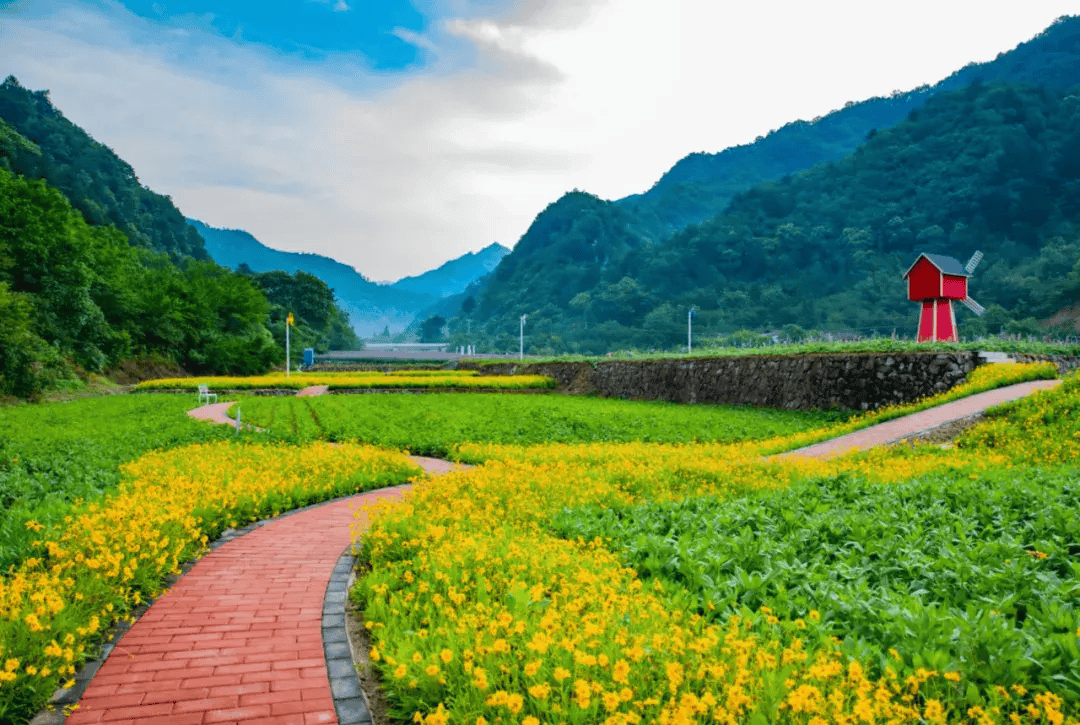 🌸【2024澳门正版资料免费大全】🌸:迎接深中通道通车，中山沙溪这场音乐会引上万市民围观  第1张