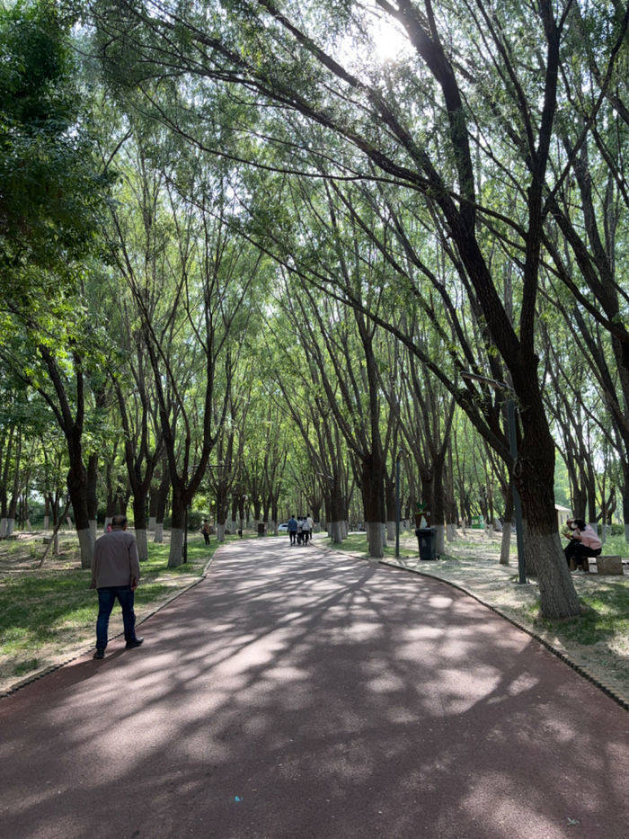 🌸【澳门一肖一码必中一肖一码】🌸:ST爱康：与赣州市南康区城市建设发展集团有限公司签订不超过35,000万元的股权合作协议