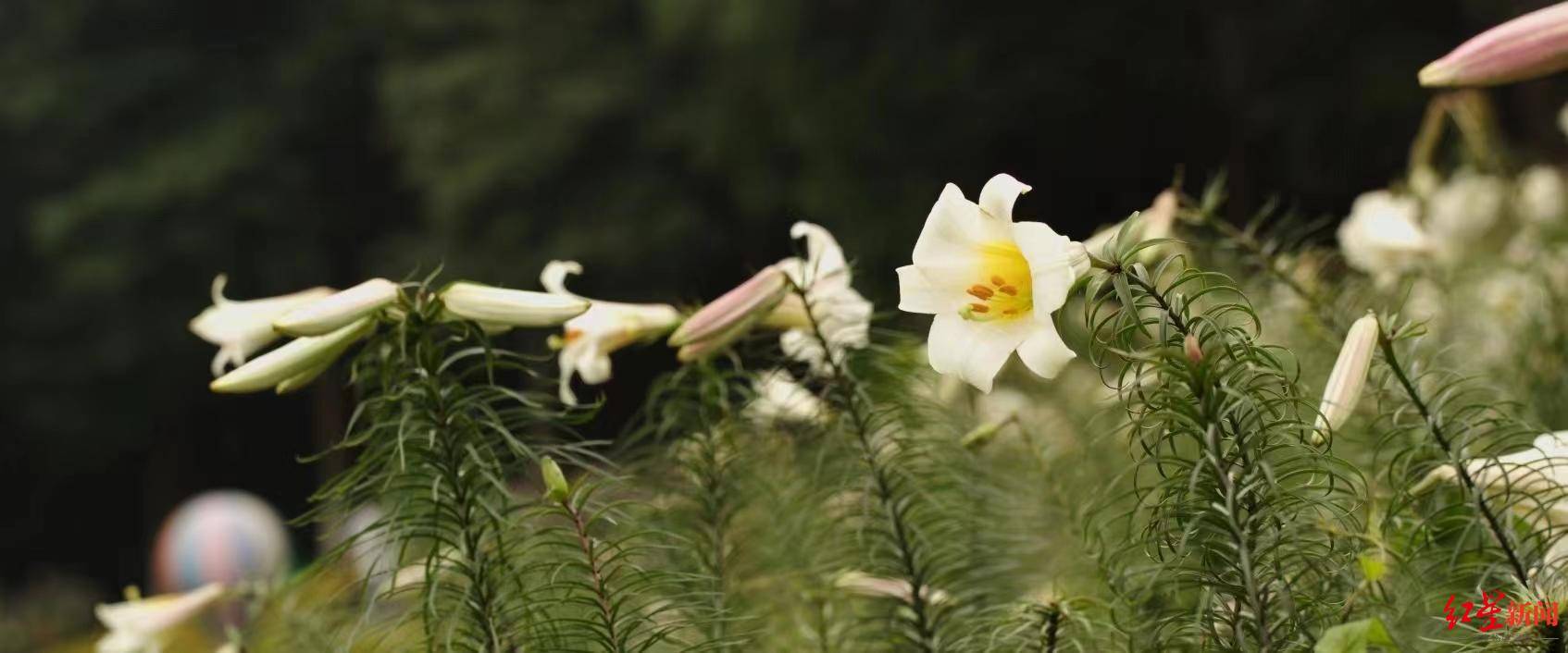 🌸【澳门管家婆一肖一码100精准】🌸:身为铁路枢纽城市，却是公路运输“唱主角”，物流成本居高不下——降成本，株洲推动公铁水多式联运