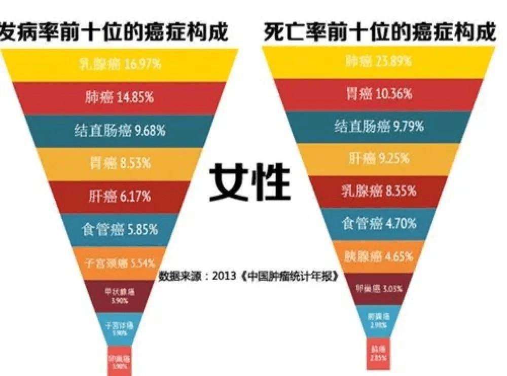 🌸【2024澳门天天六开彩免费资料】🌸:刘德华12岁女儿罕见曝光，眉眼像妈高鼻梁像爸，这是娱乐圈最美星二代了吧？  第2张