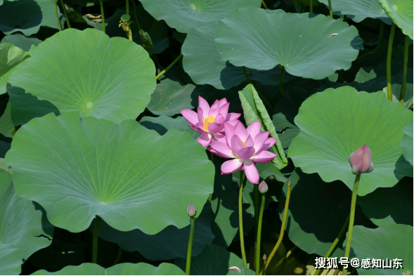 🌸【新澳2024年精准一肖一码】🌸:团体一等奖！湖南城市学院在省级基本功展示活动中获佳绩