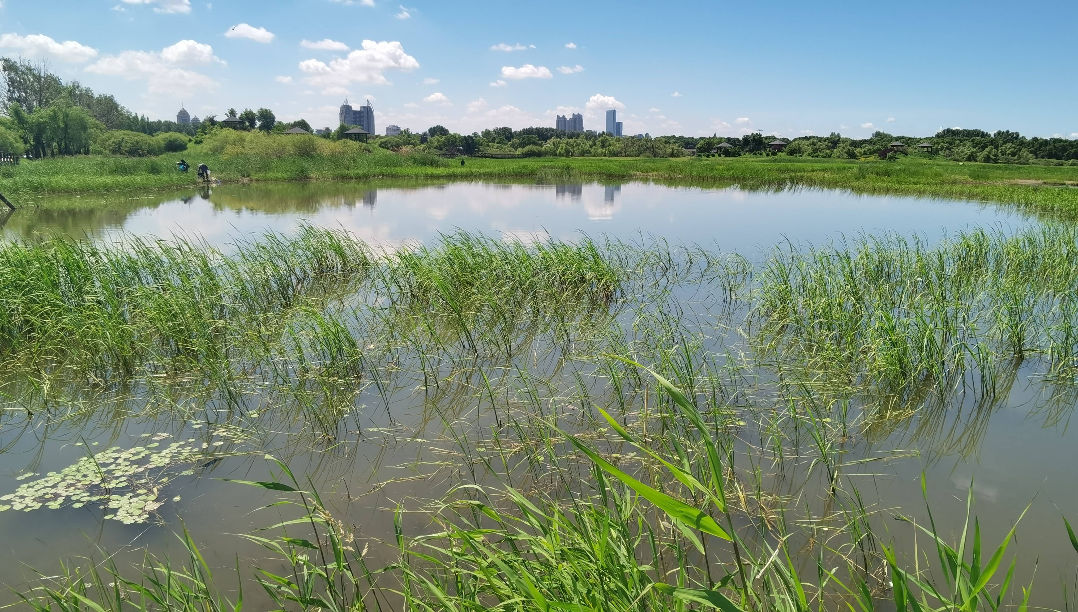 🌸【新澳门一码一肖一特一中】🌸:阳泉：打造山西中部城市群强健“东翼”  第2张