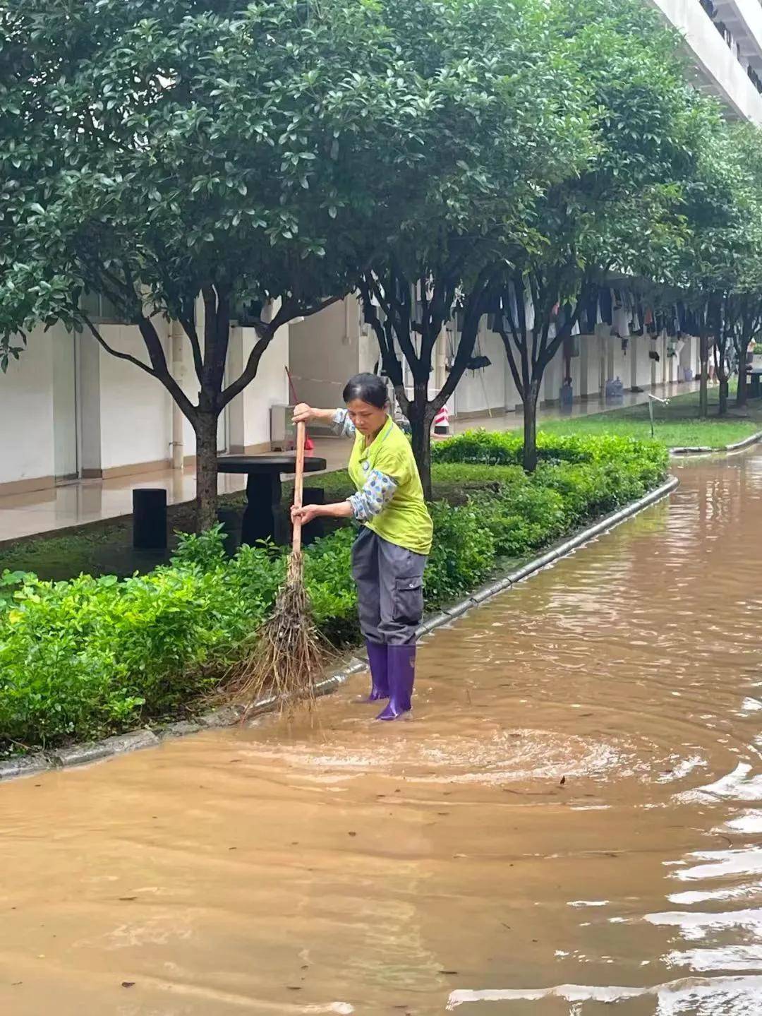 🌸【新澳2024年精准一肖一码】:新城市（300778）7月4日主力资金净卖出1088.72万元  第5张