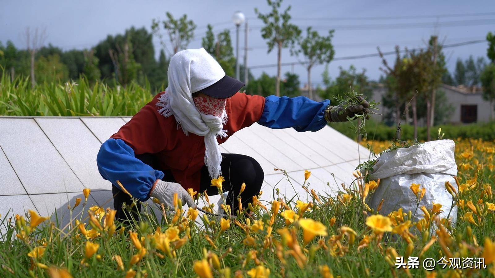 🌸【澳门天天开彩好正版挂牌】🌸:不限城市、不限路线、不限路况，小鹏XNGP定义“全国都好用”