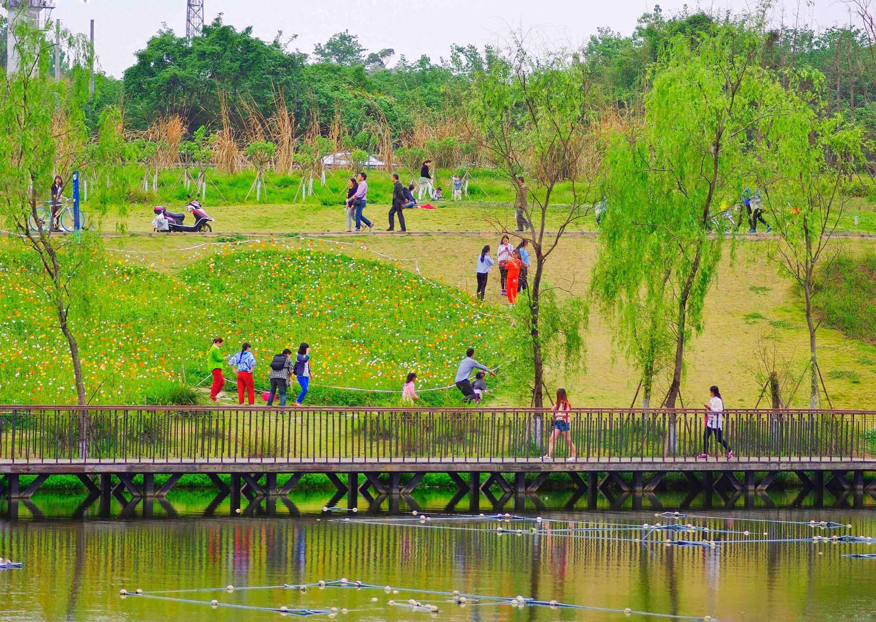 🌸【澳门一肖一码100准免费资料】🌸:城市24小时 | 东部经济大省“双子星”，再被点名  第5张