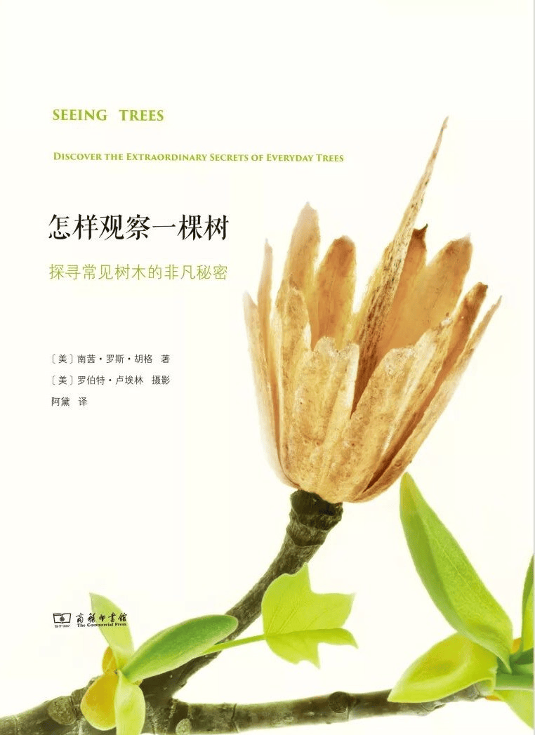 🌸【494949澳门今晚开什么】🌸:砥砺奋进逐梦行 魅力之城日日新——石家庄持续发力高质量推进城市更新综述