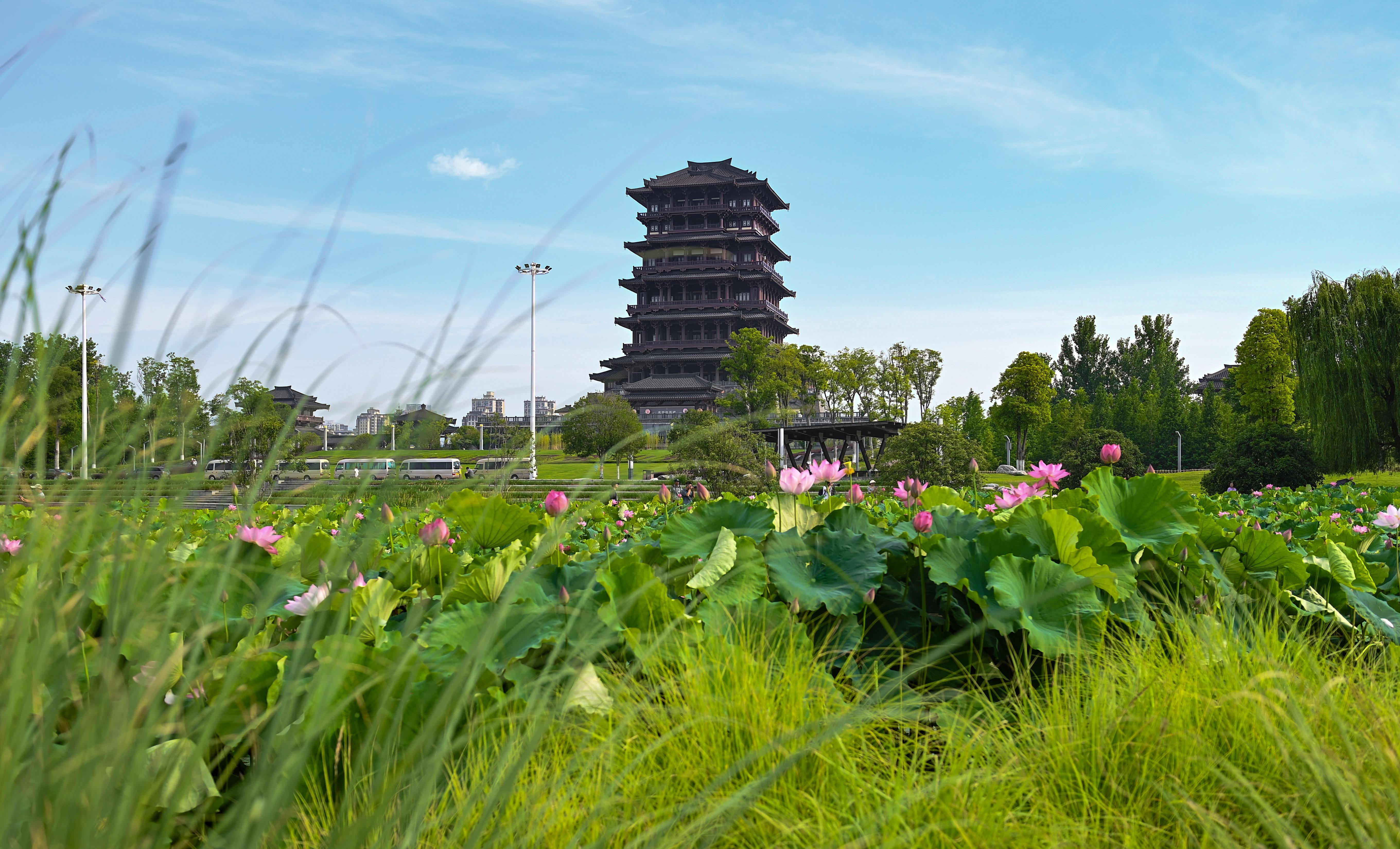 🌸【澳门今一必中一肖一码一肖】🌸:擅自砍伐城市树木，招远一人被处罚！  第3张