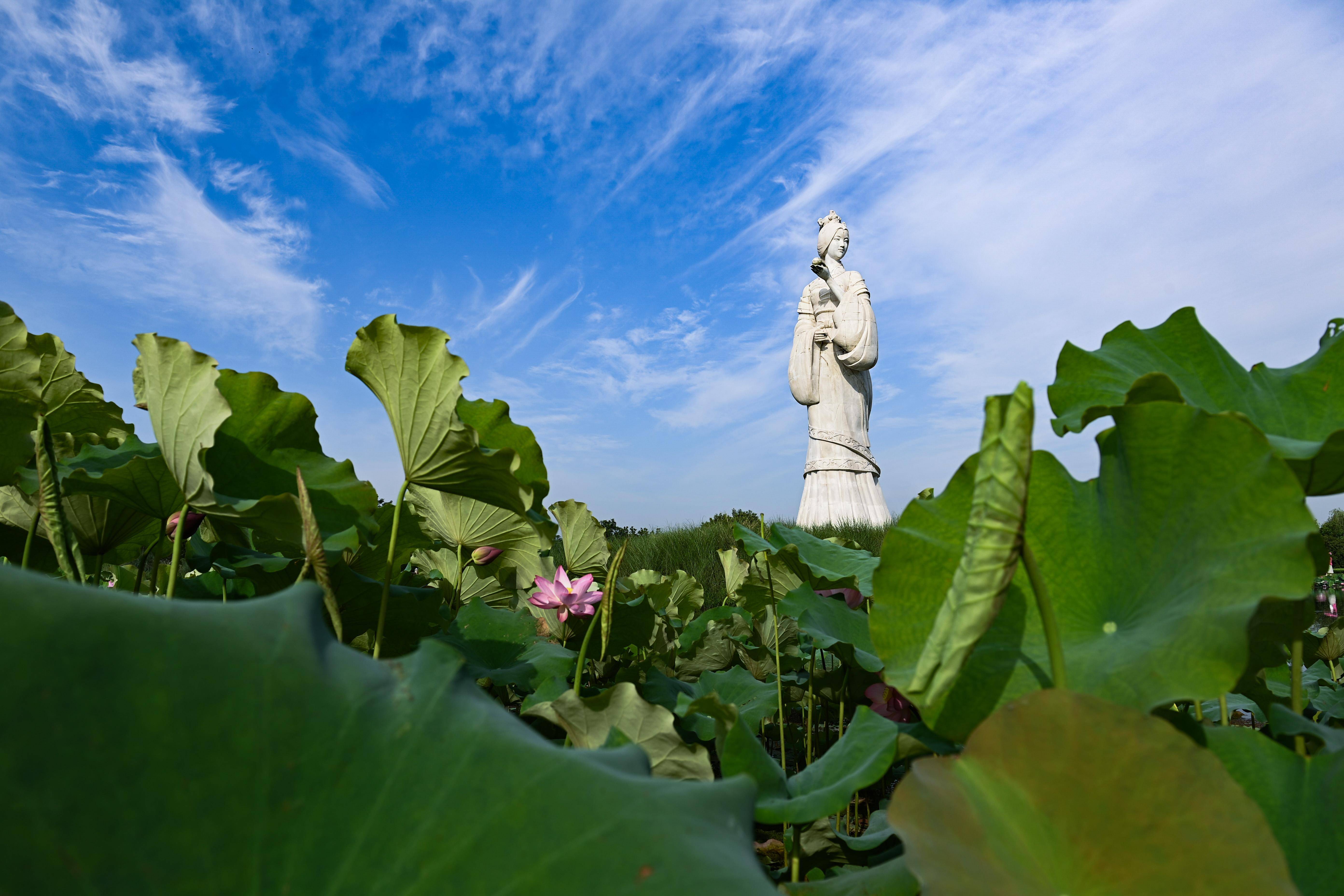 🌸【澳门一肖一码100准免费资料】🌸:陕西科技大学怎么样？地处新一线城市，认可度超高！  第2张