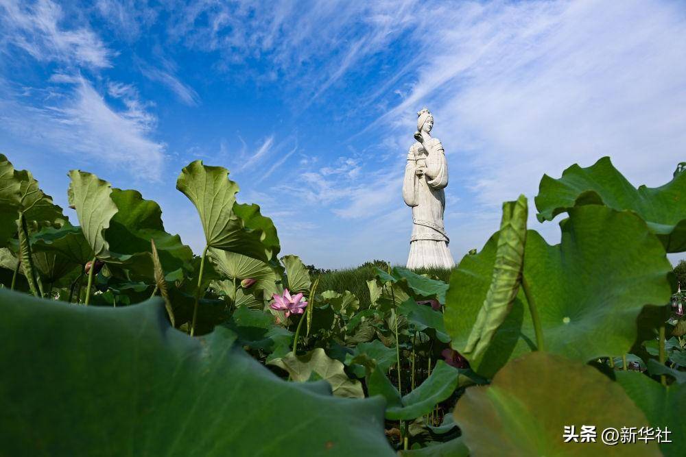 🌸【管家婆一码一肖100中奖】🌸:棕榈股份：构建城市绿地碳源/汇核算体系 提升城市绿地的生态价值