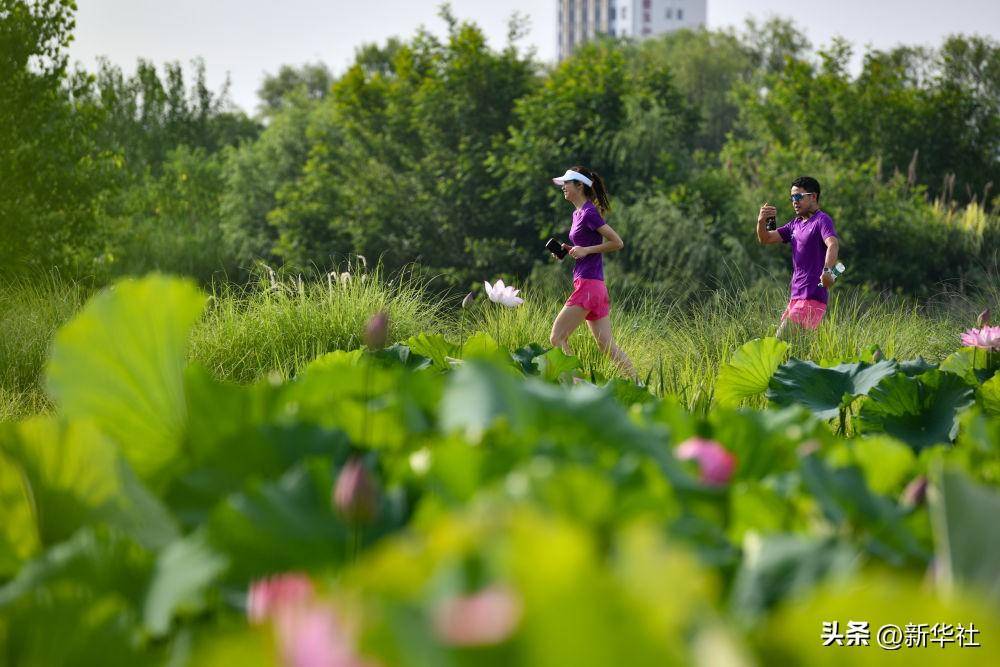 🌸【新澳彩资料免费资料大全】🌸:中盛弘宇建设科技有限公司中标唐县城市更新专项规划编制项目 金额 418000 元