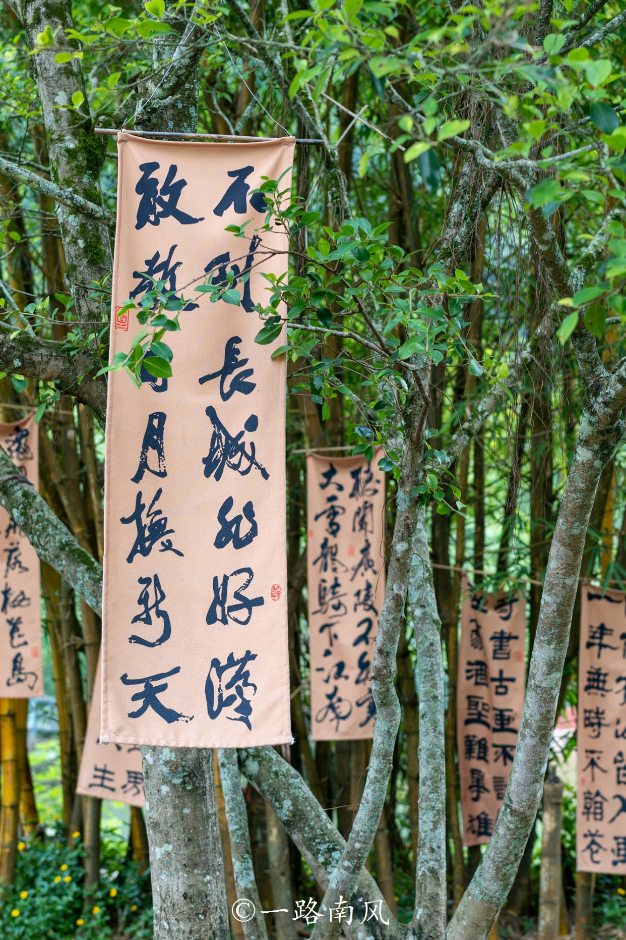 🌸【香港二四六开奖免费资料】🌸:中国北方最大港口城市天津打造创新开放新优势