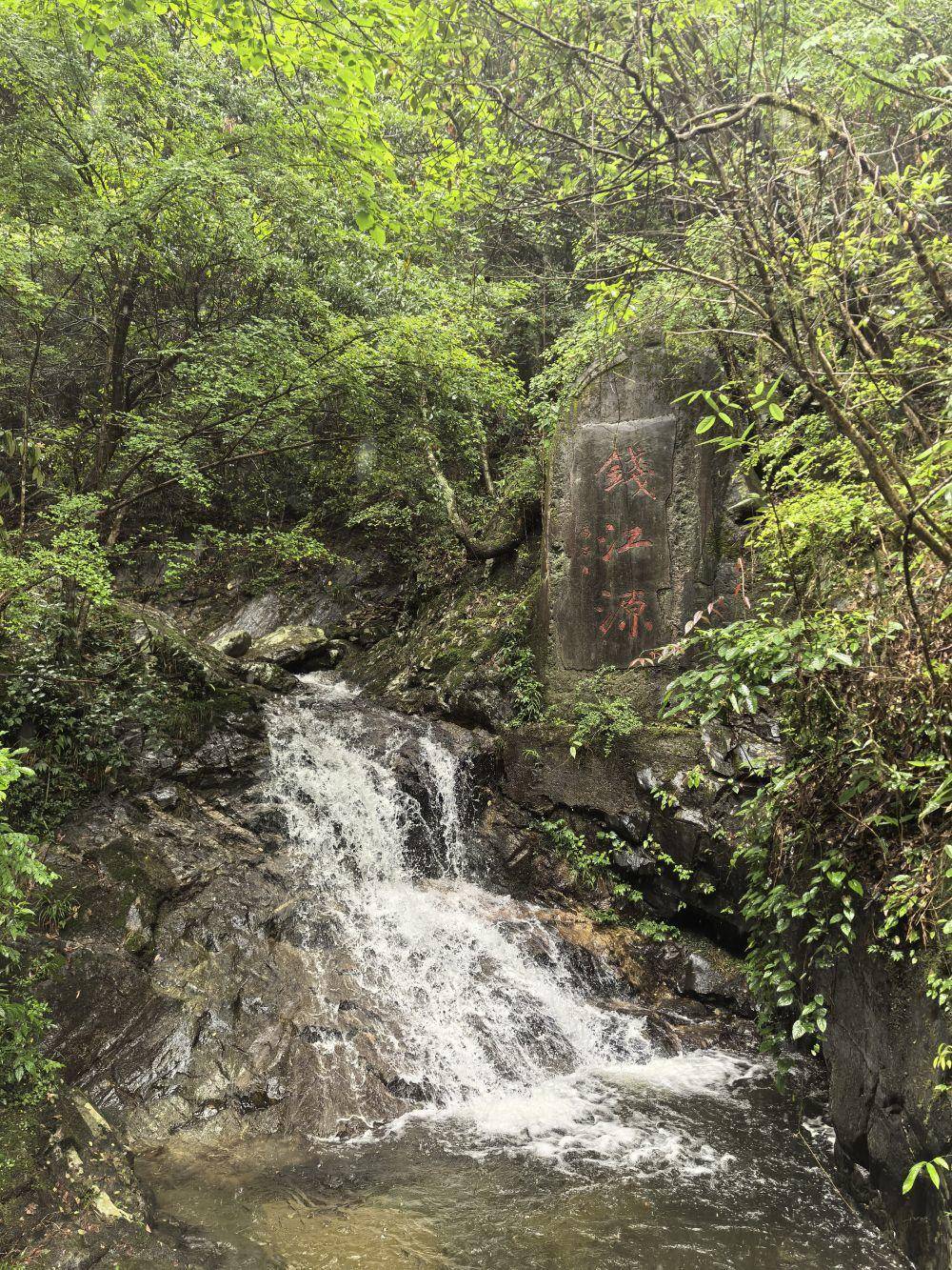 🌸【2024澳门资料大全免费】🌸:“颂鹭岛之美 扬厦门文明” 厦门向社会征集公益广告创意作品深化文明城市创建  第3张