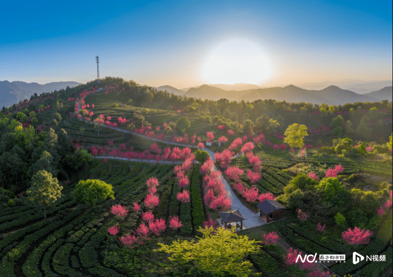 🌸【2024澳门天天六开彩免费资料】🌸:第五届厦门（思明）音乐季拉开帷幕