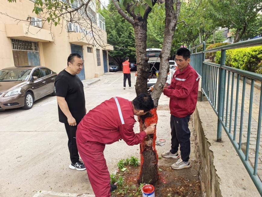 🌸【新澳门一码一肖100精确】🌸:2024新一线城市榜单发布，潍坊稳居二线城市