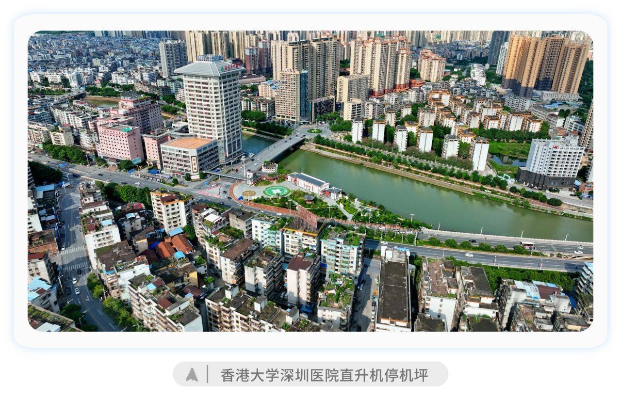 🌸【2024新奥历史开奖记录香港】🌸:上海24小时书店：“留守”一个不打烊的阅读空间，点亮一盏城市不眠的“长明灯”